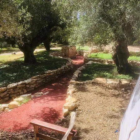 אתר קמפינג Barreira Beachfront Tents10